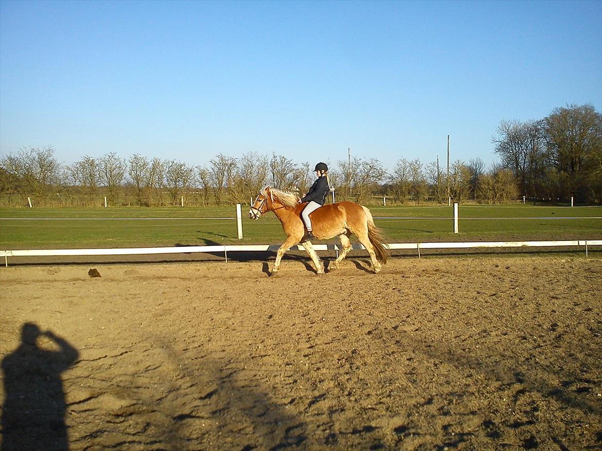 Undervisning. billede 65