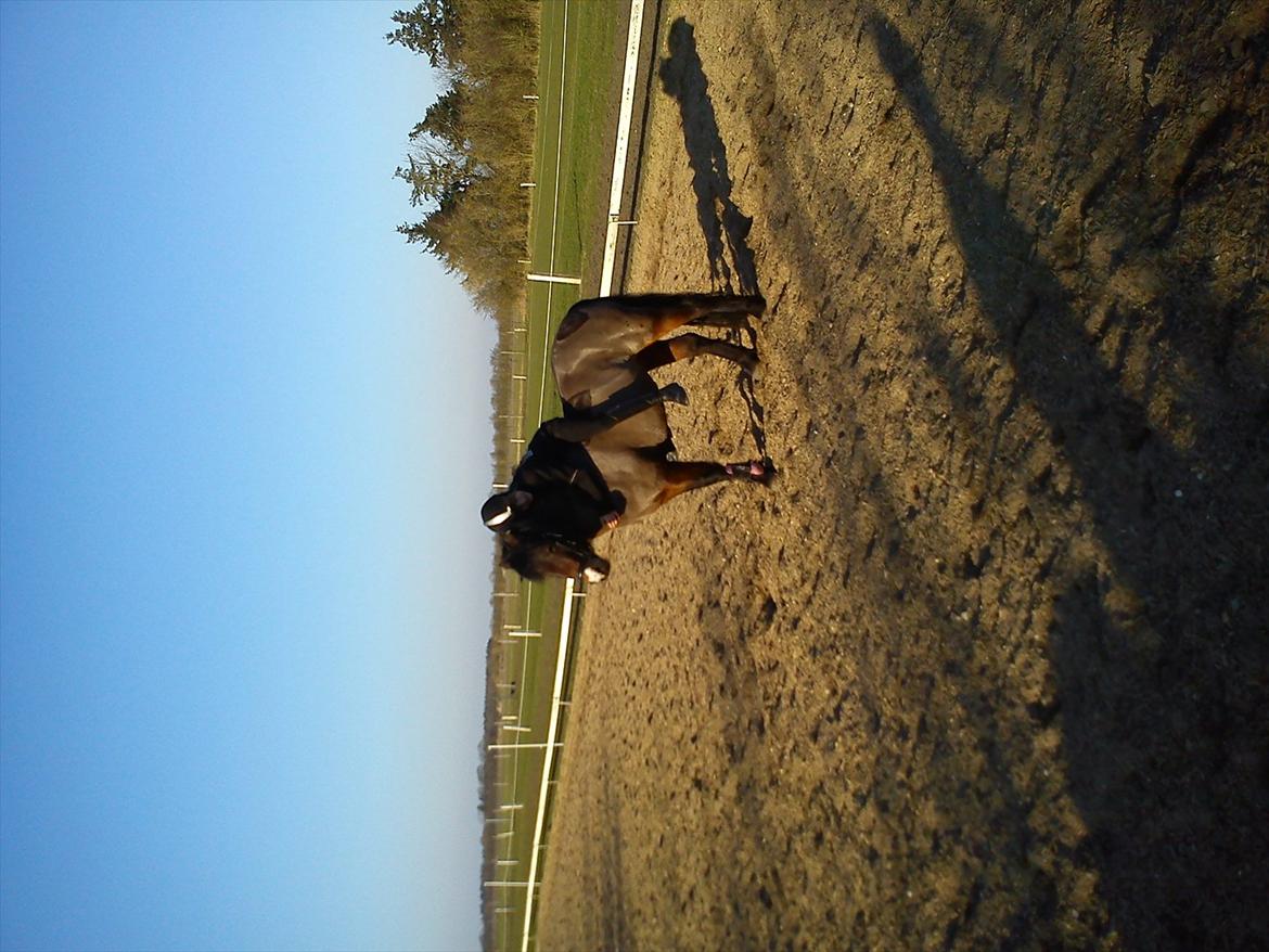 Undervisning. billede 66