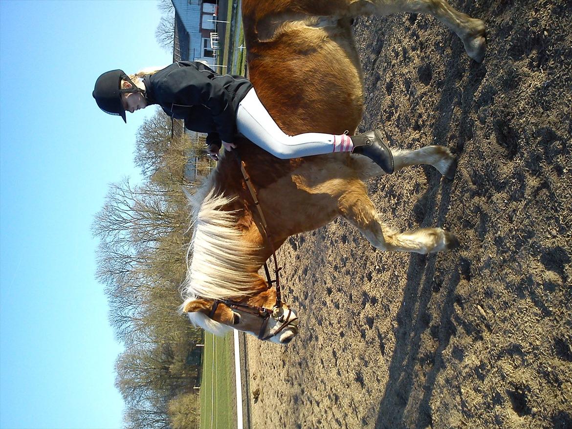 Undervisning. billede 67