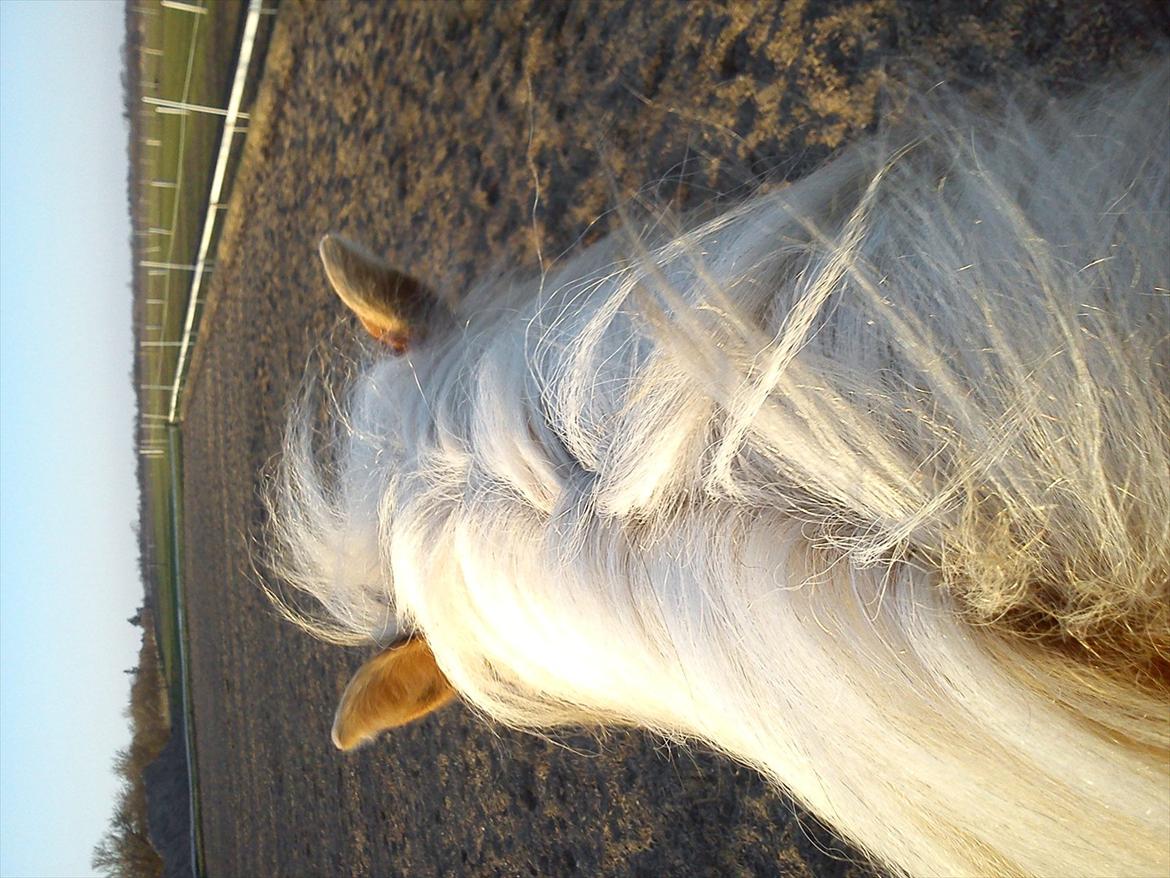 Undervisning. billede 68