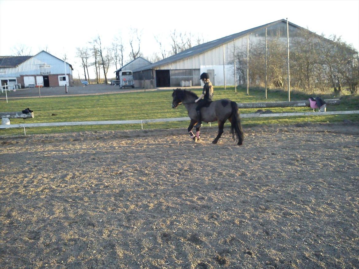 Undervisning. billede 71