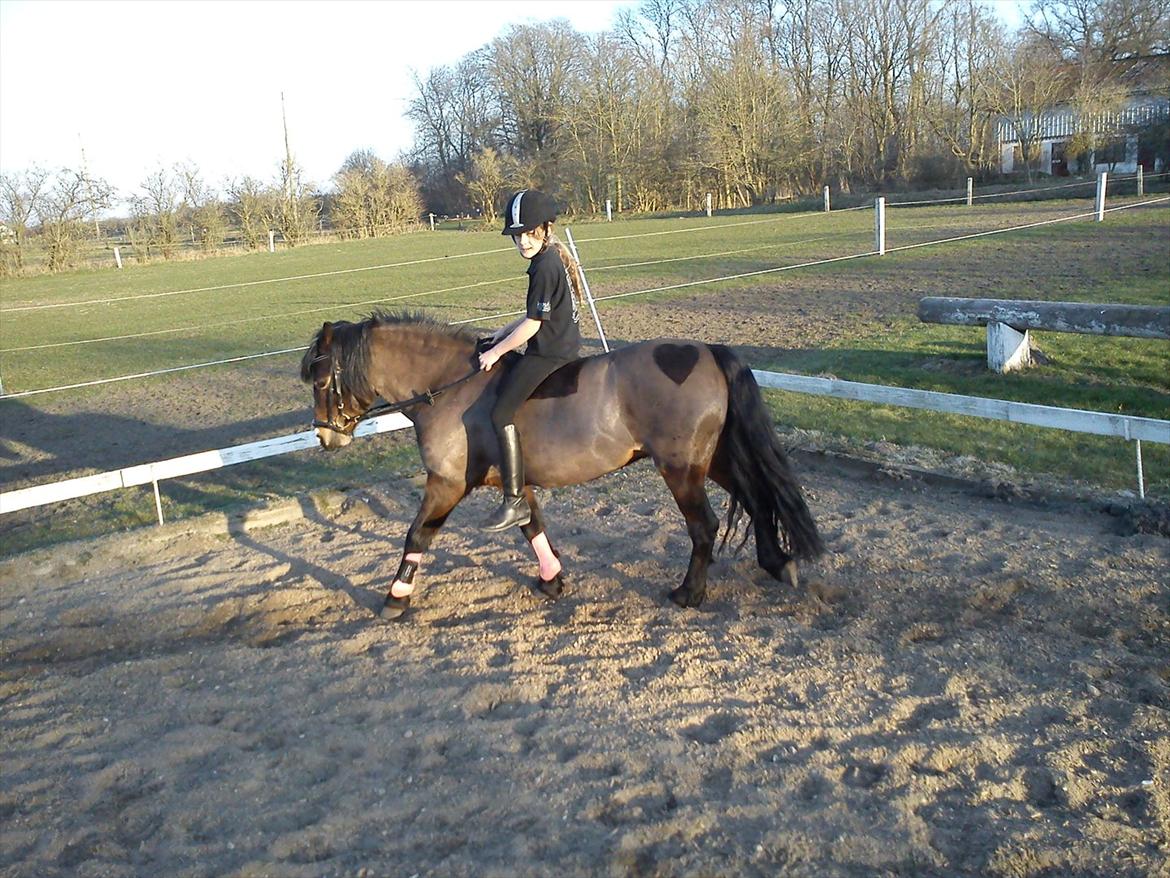 Undervisning. billede 72