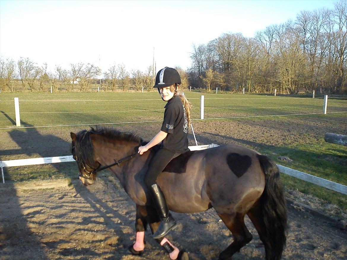 Undervisning. billede 74