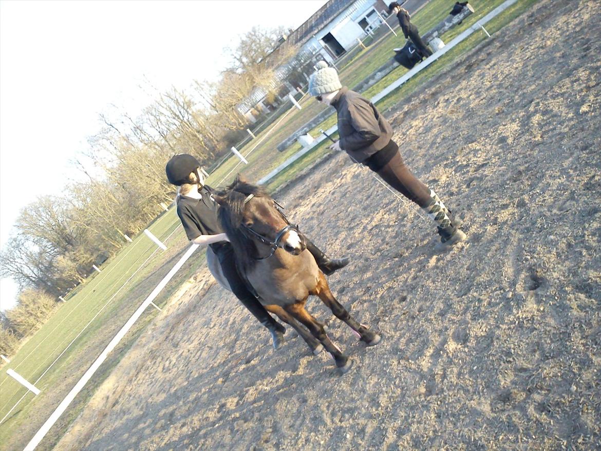 Undervisning. billede 75