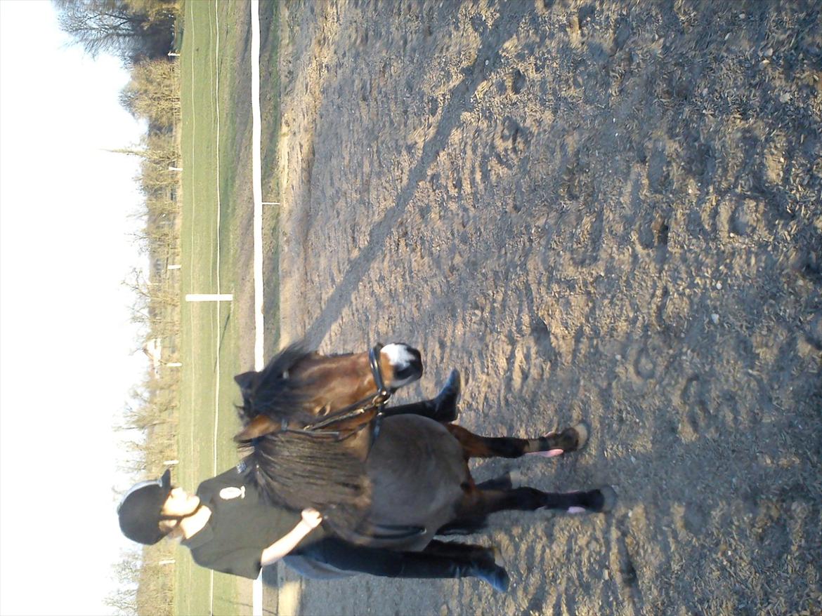 Undervisning. billede 76