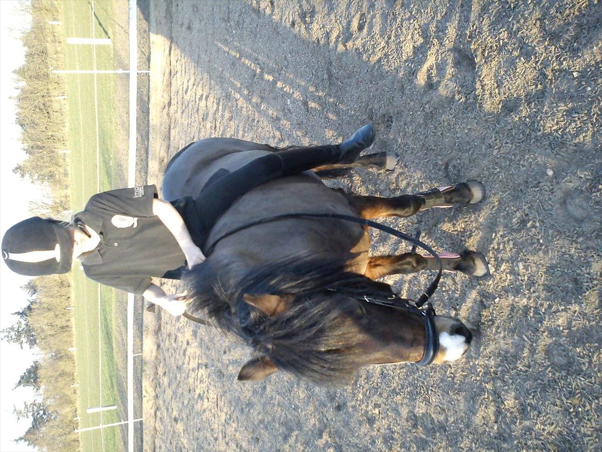 Undervisning. billede 77