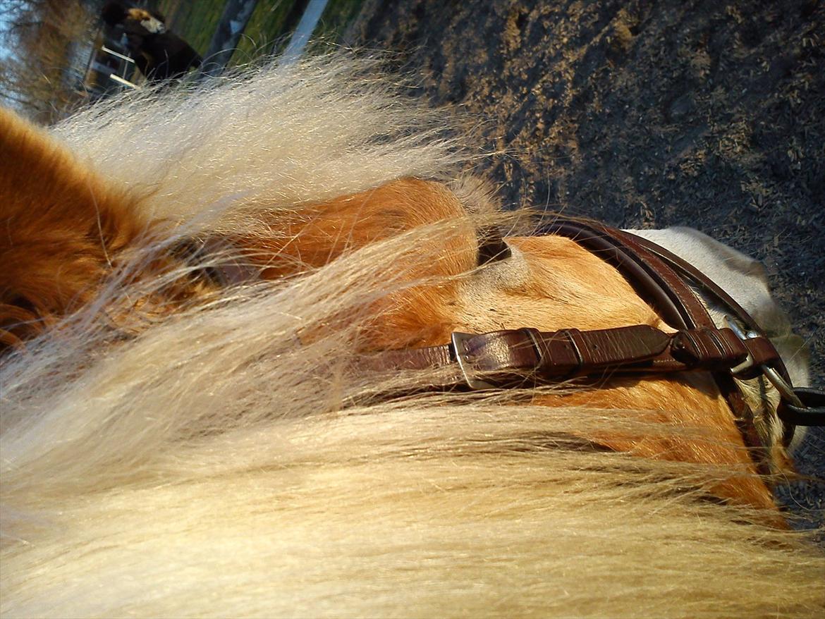 Undervisning. billede 78