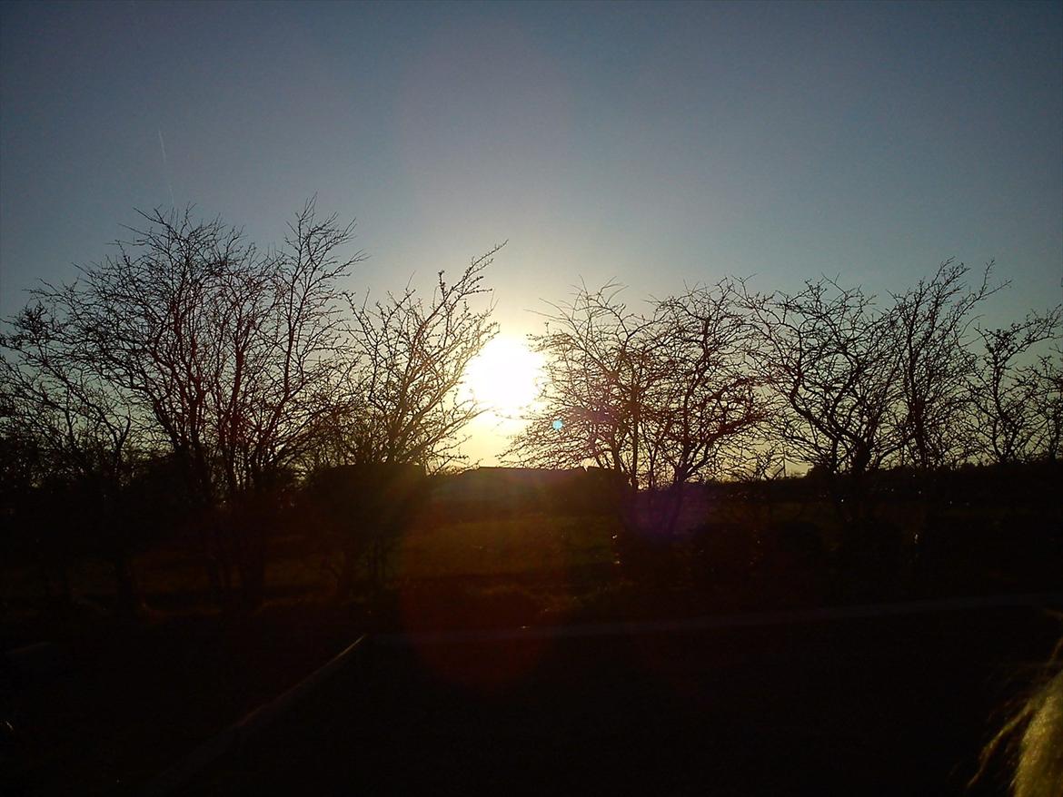 Undervisning. billede 79