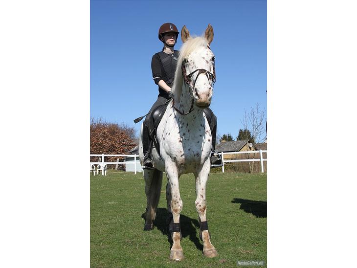 {{currentPhoto.altText}} billede {{currentPhoto.number}}