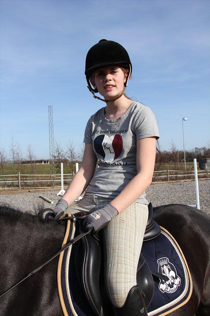 Springtræning hjemme m. Casina & Whisser i solskin! Marts 2012 billede 1