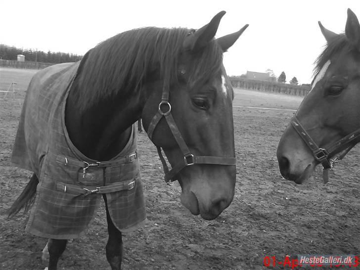 Tengninger til andre - Perfect billede 9