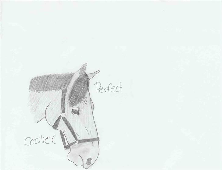 Tengninger til andre - Perfect billede 10
