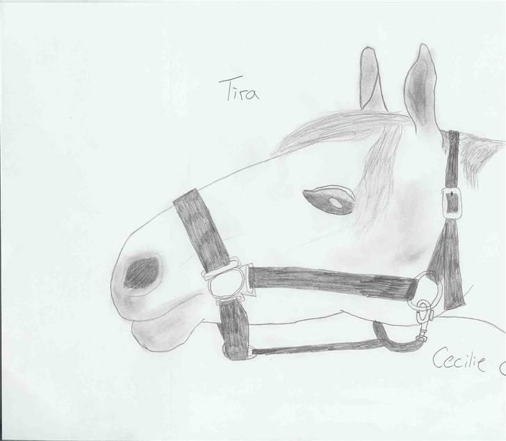 Tengninger til andre - Tira billede 12