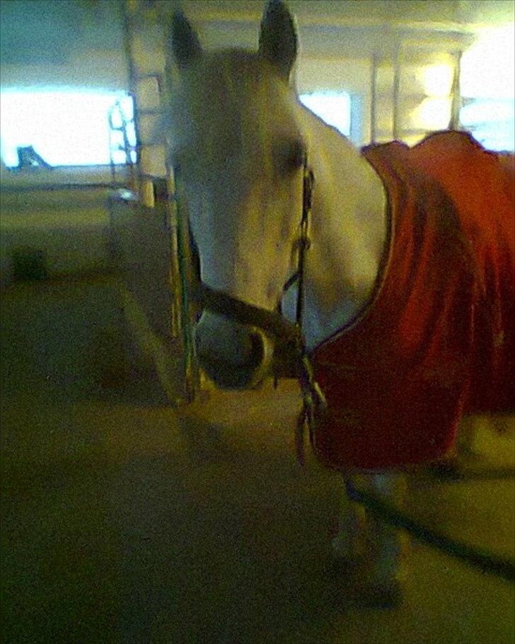 Sasja - forskellige billeder - Marts 2012 <3 billede 9