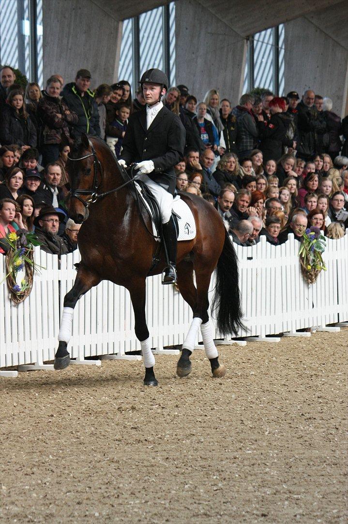 Åbent hus - Blue Hors - 2012 - Blue Hors Erlando  billede 2