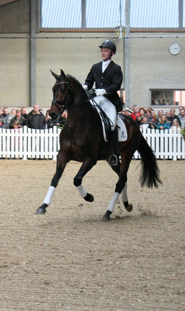 Åbent hus - Blue Hors - 2012 - Blue Hors Erlando  billede 3