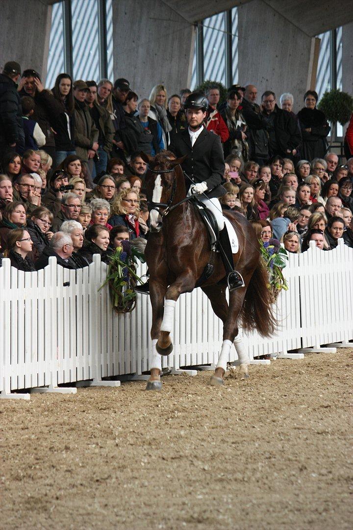 Åbent hus - Blue Hors - 2012 - Blue Hors Fletcher billede 9