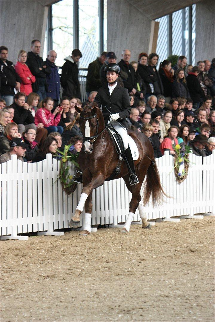 Åbent hus - Blue Hors - 2012 - Blue Hors Fletcher billede 10