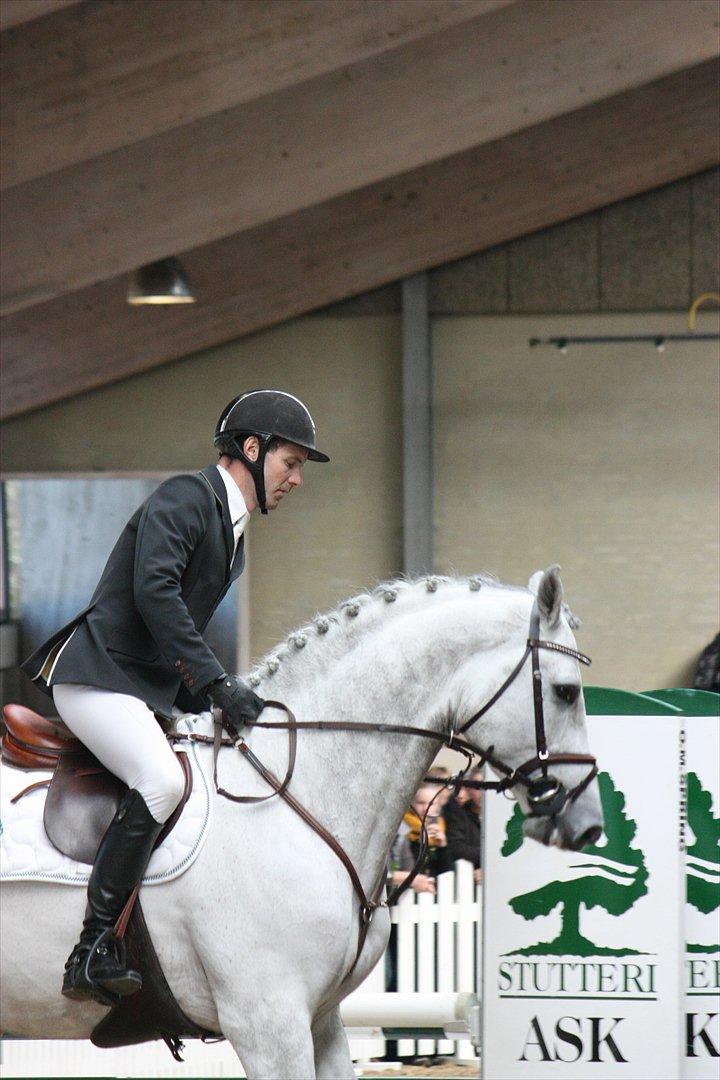 Åbent hus - Blue Hors - 2012 - Ci Ci Senjor Ask billede 14