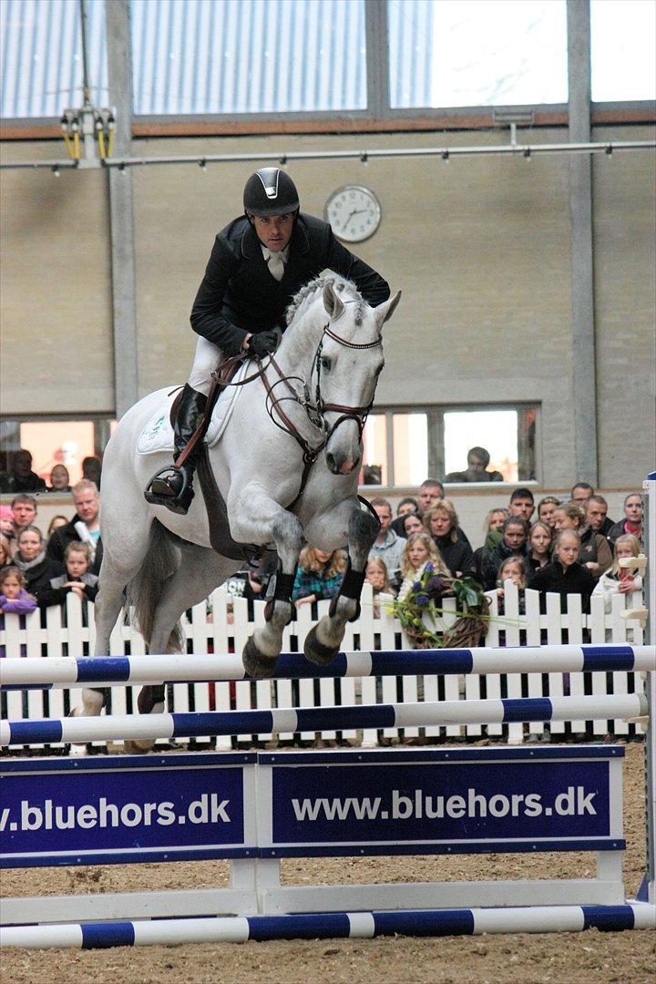 Åbent hus - Blue Hors - 2012 - Ci Ci Senjor Ask billede 15