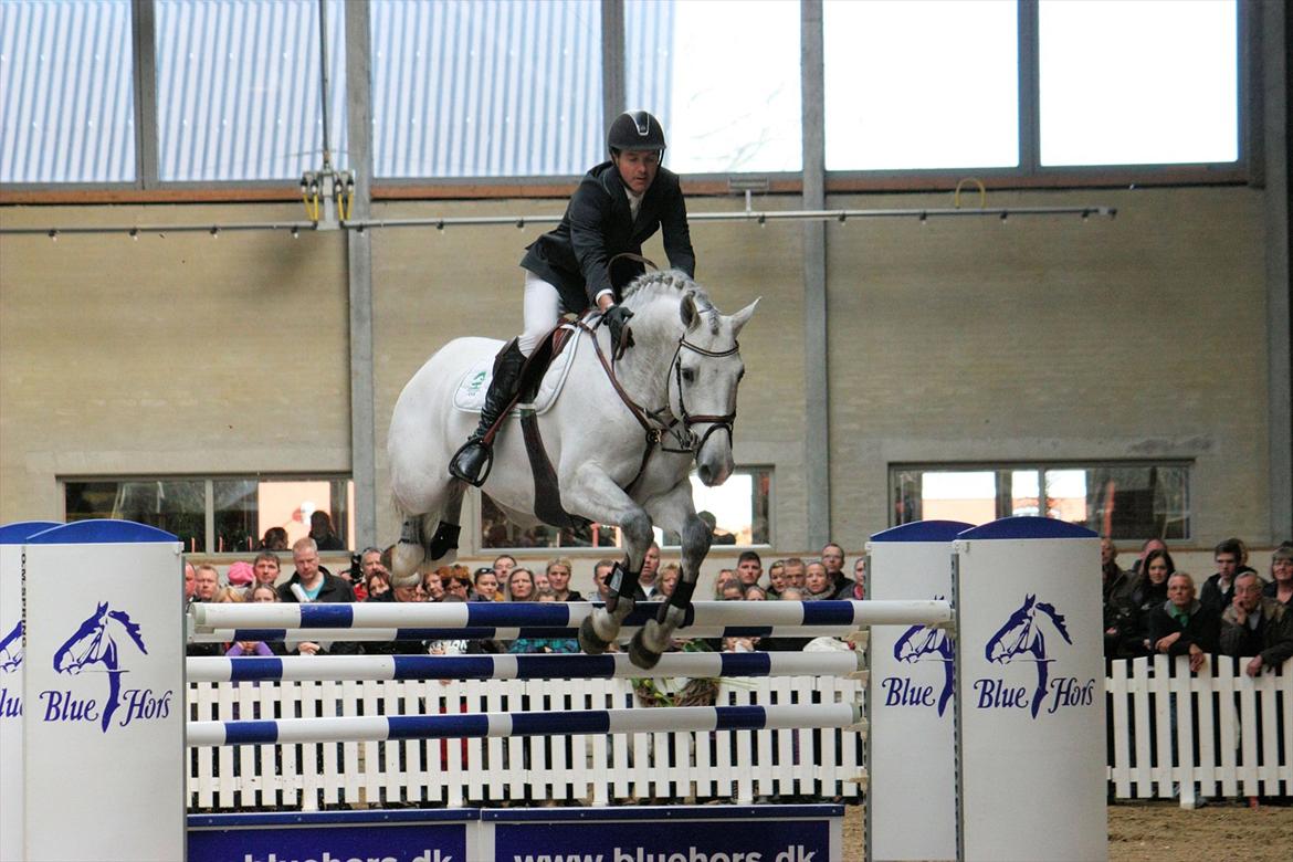 Åbent hus - Blue Hors - 2012 - Ci Ci Senjor Ask billede 17