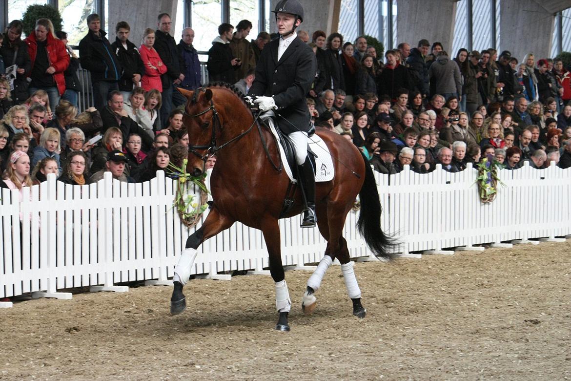 Åbent hus - Blue Hors - 2012 - Blue Hors Edelman billede 29