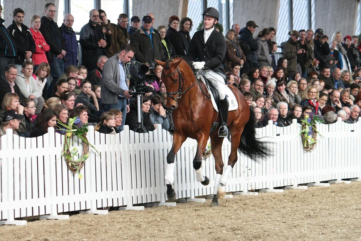 Åbent hus - Blue Hors - 2012 - Blue Hors Edelman billede 31