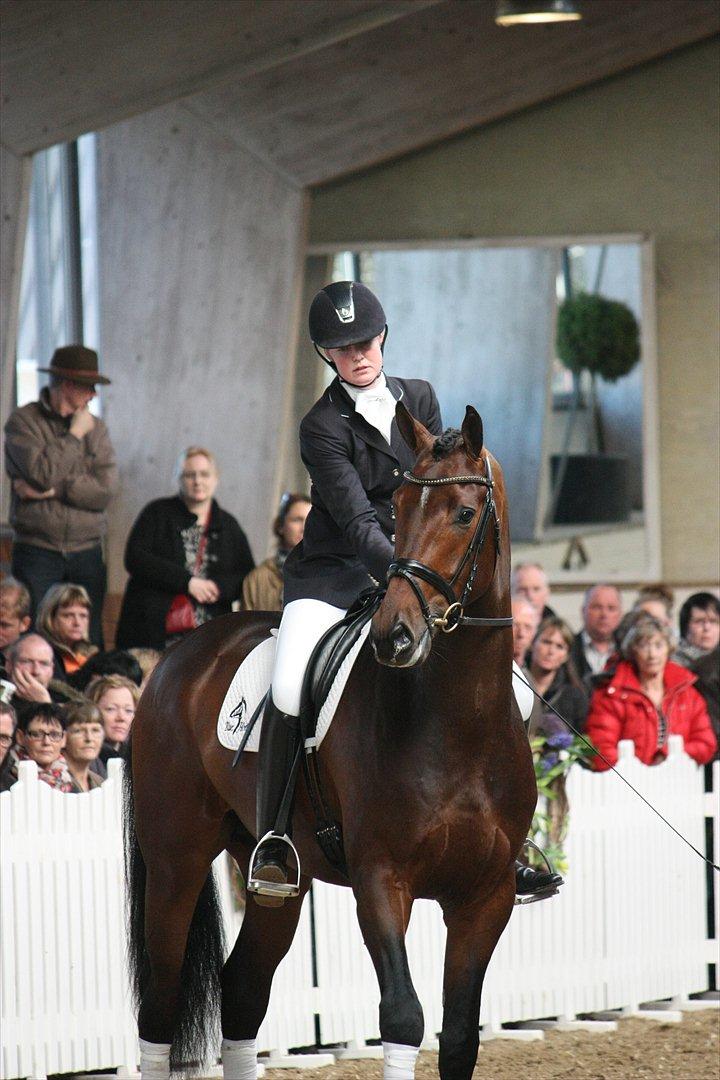 Åbent hus - Blue Hors - 2012 - Blue Hors Zatchmo billede 32