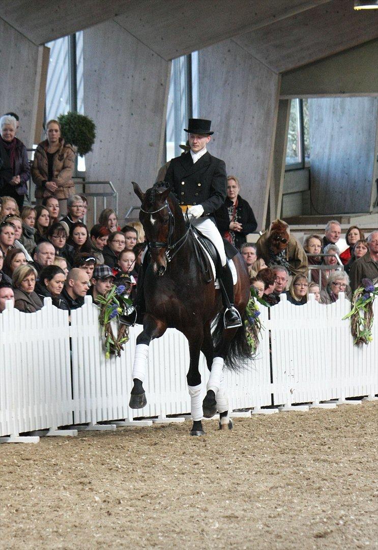 Åbent hus - Blue Hors - 2012 - Blue Hors Zack billede 34