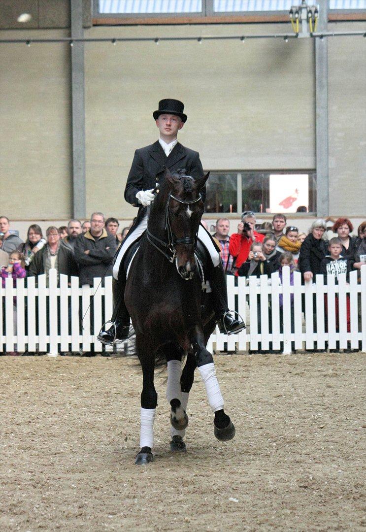 Åbent hus - Blue Hors - 2012 - Blue Hors Zack billede 35