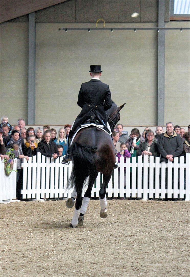 Åbent hus - Blue Hors - 2012 - Blue Hors Zack billede 36