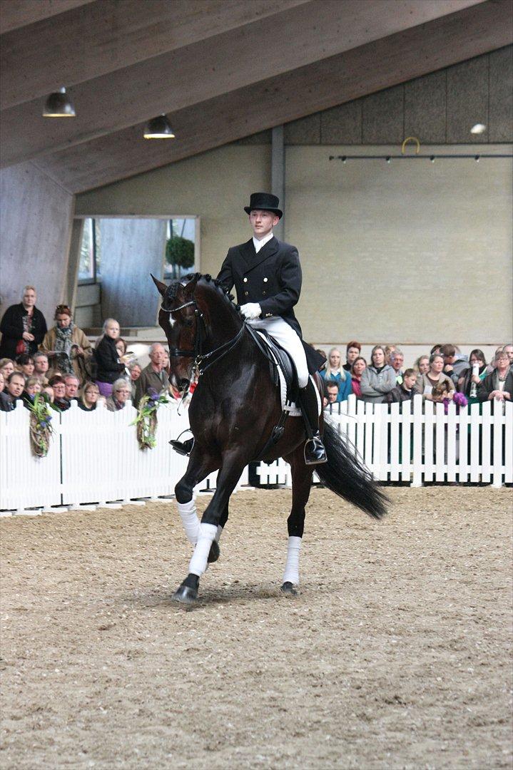 Åbent hus - Blue Hors - 2012 - Blue Hors Zack billede 37