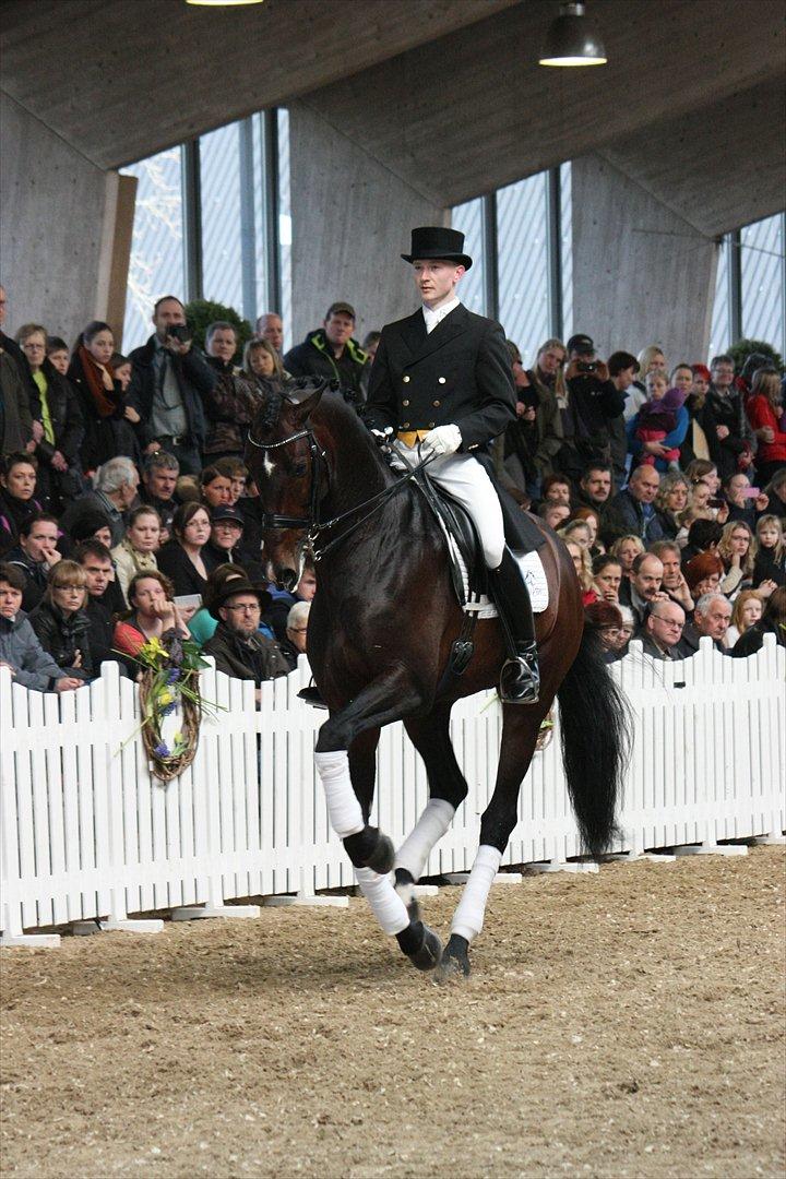 Åbent hus - Blue Hors - 2012 - Blue Hors Zack billede 38