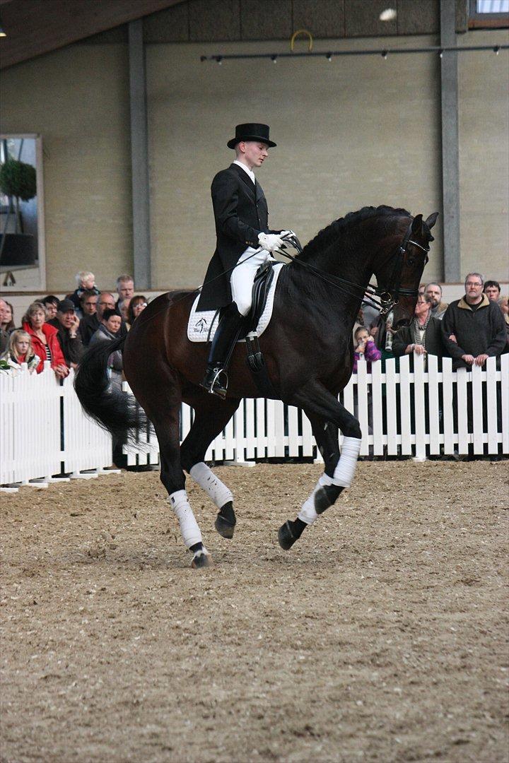 Åbent hus - Blue Hors - 2012 - Blue Hors Zack billede 39