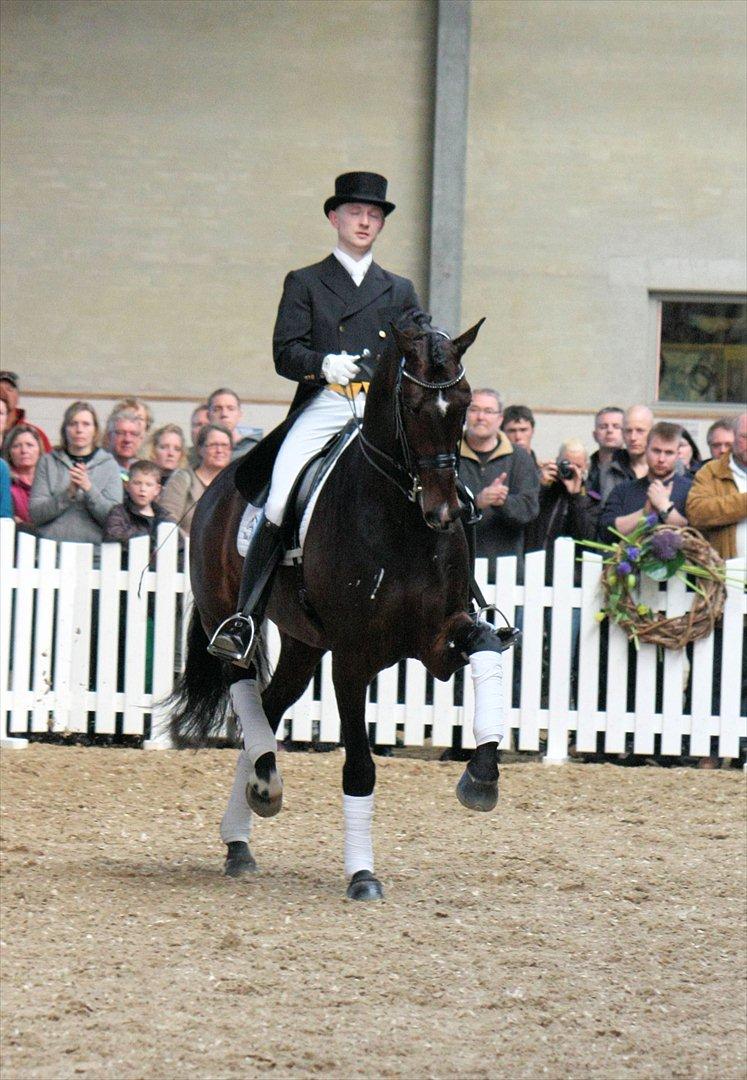 Åbent hus - Blue Hors - 2012 - Blue Hors Zack billede 43