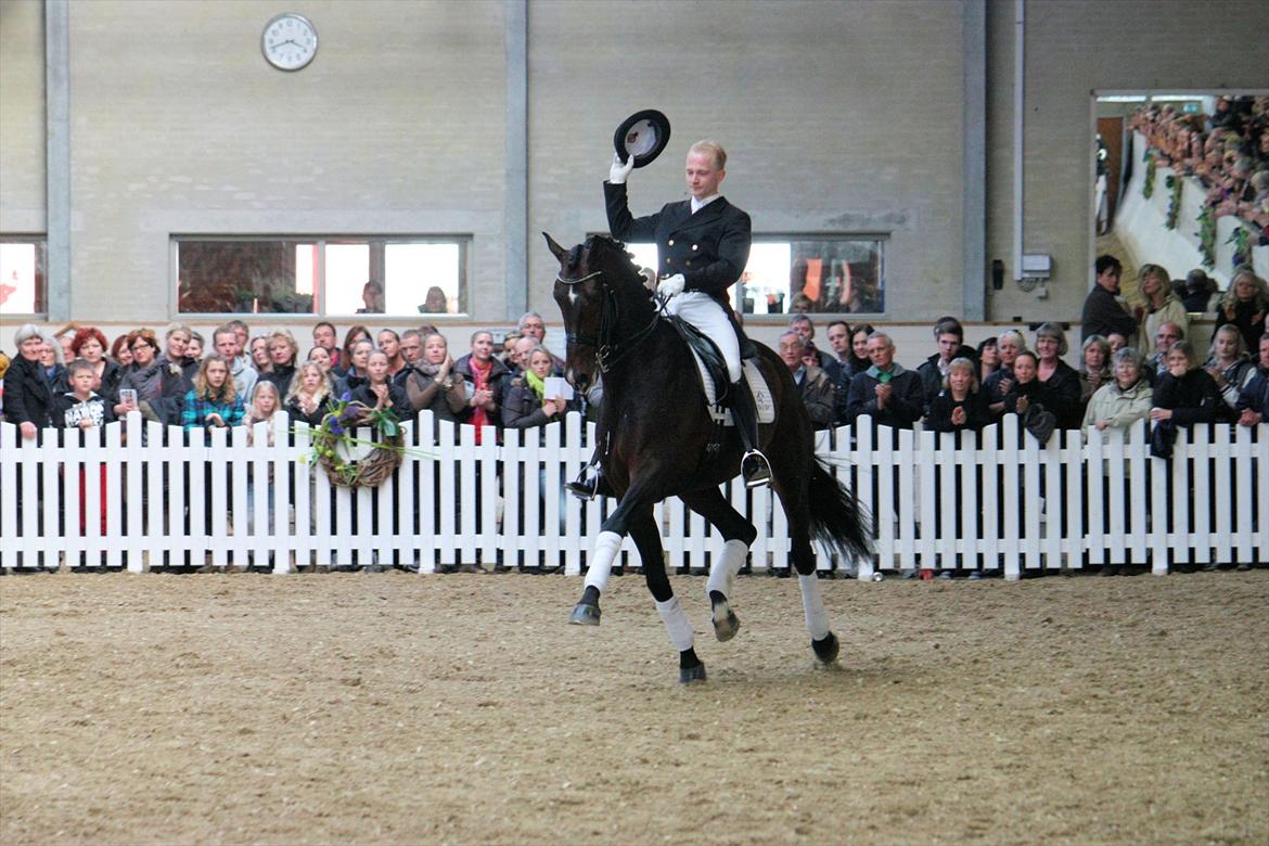 Åbent hus - Blue Hors - 2012 - Blue Hors Zack billede 44