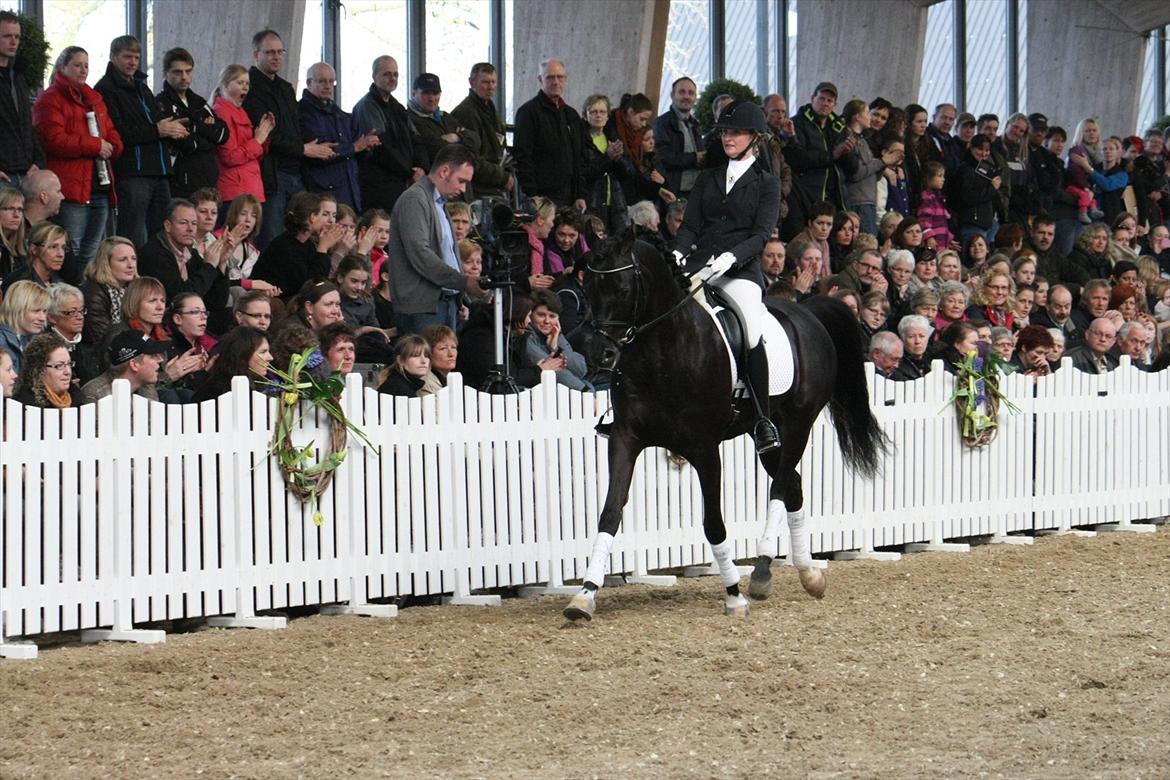 Åbent hus - Blue Hors - 2012 - Zonyx OX billede 45