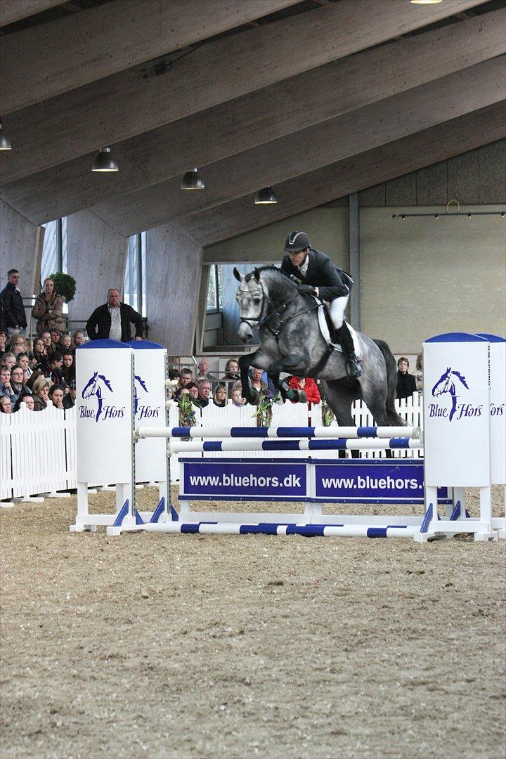 Åbent hus - Blue Hors - 2012 - Cavall Ask billede 46