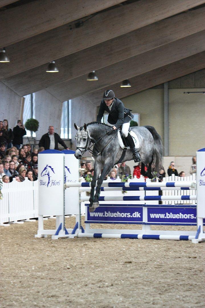 Åbent hus - Blue Hors - 2012 - Cavall Ask billede 47