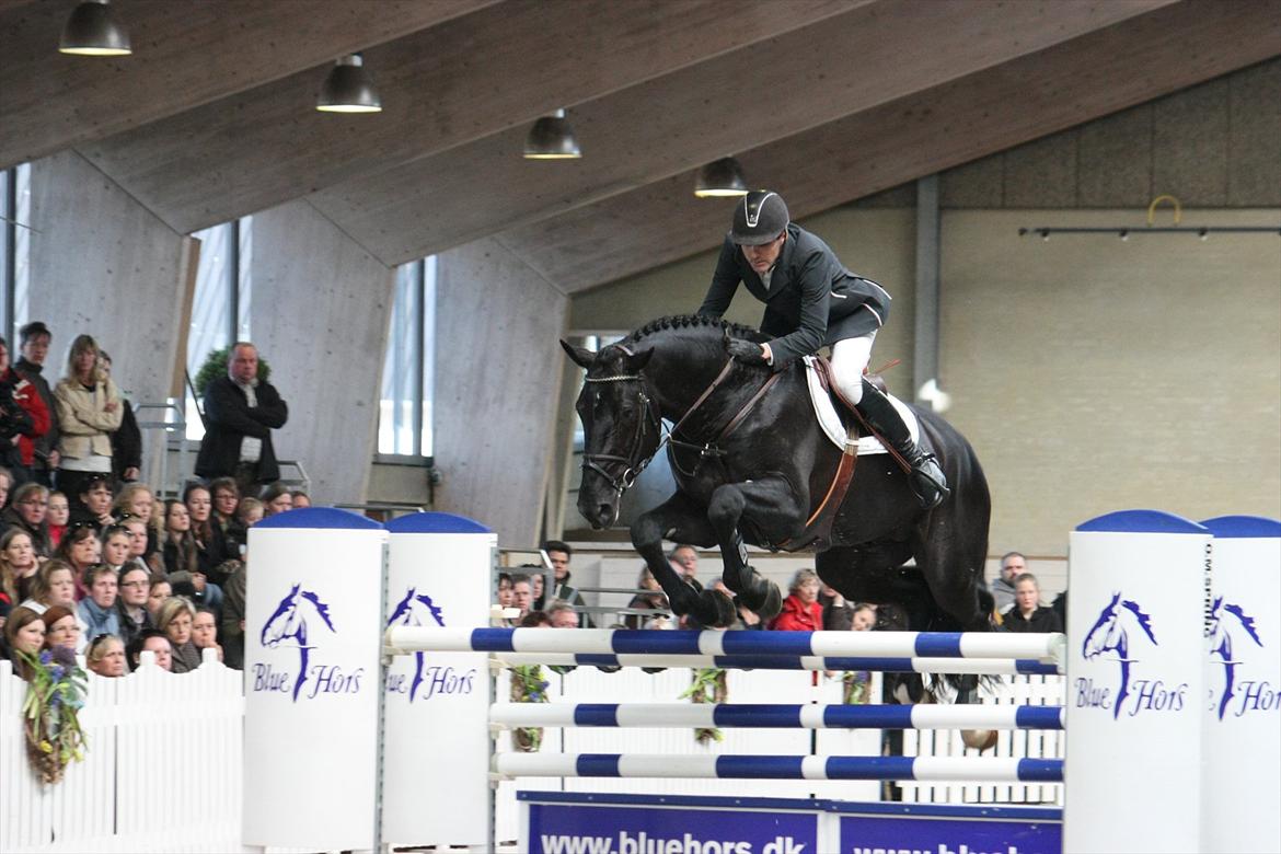 Åbent hus - Blue Hors - 2012 - Favorit Ask billede 48