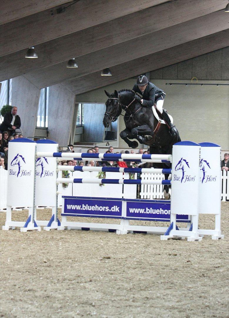 Åbent hus - Blue Hors - 2012 - Favorit Ask billede 49