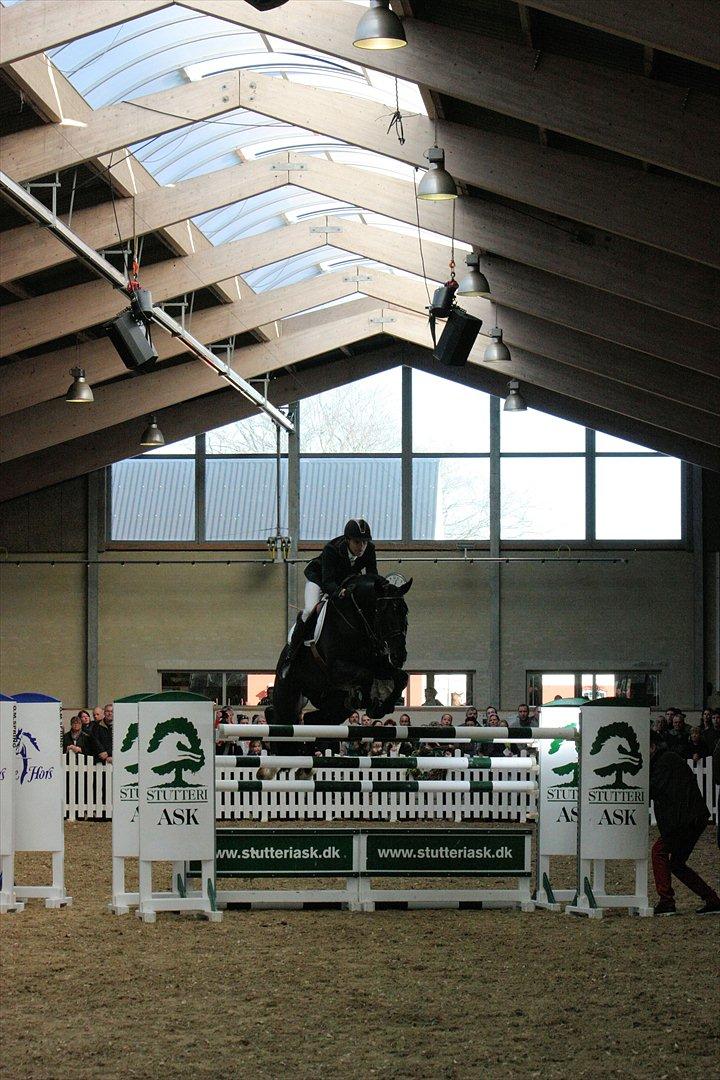 Åbent hus - Blue Hors - 2012 - Favorit Ask billede 50