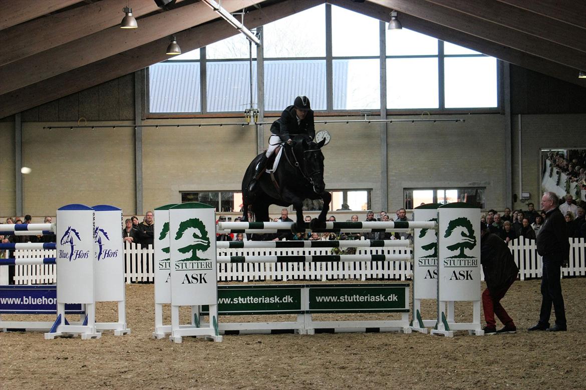 Åbent hus - Blue Hors - 2012 - Favorit Ask billede 51