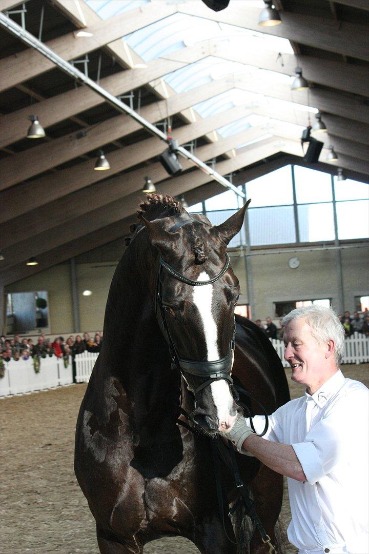Åbent hus - Blue Hors - 2012 - Blue Hors Don Schufro billede 53