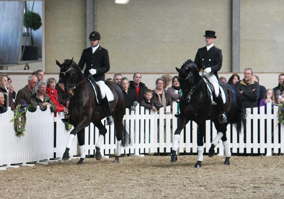 Åbent hus - Blue Hors - 2012 -  Blue Hors Hotline og Sikrit billede 57