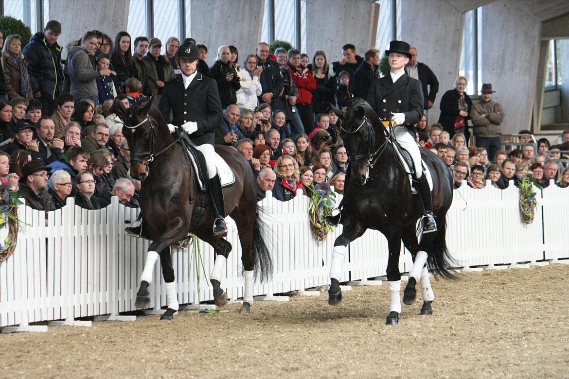 Åbent hus - Blue Hors - 2012 -  Blue Hors Hotline og Sikrit billede 58