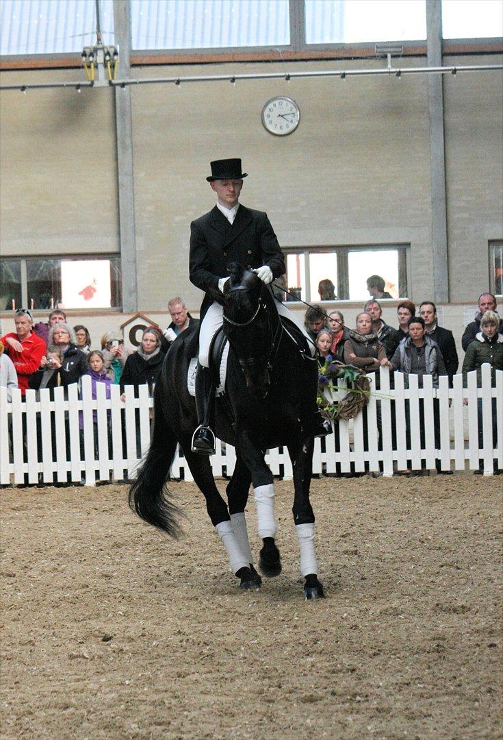 Åbent hus - Blue Hors - 2012 - Blue Hors Hotline billede 60