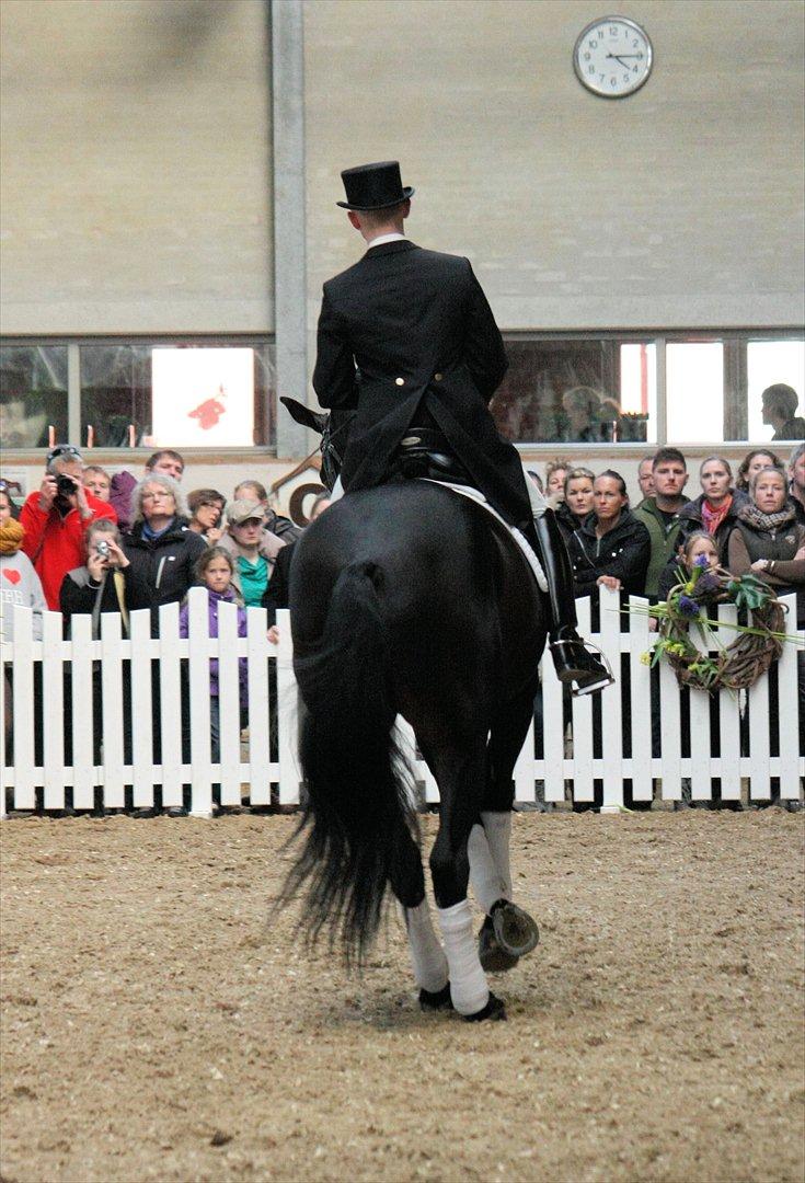 Åbent hus - Blue Hors - 2012 - Blue Hors Hotline billede 61