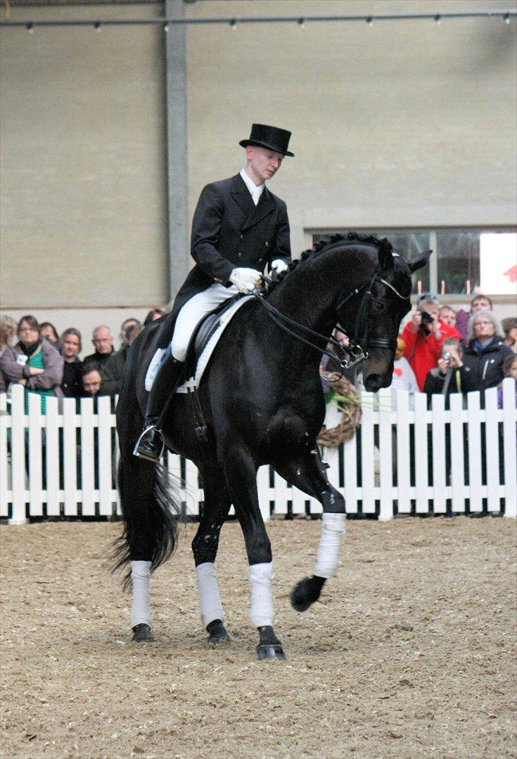 Åbent hus - Blue Hors - 2012 - Blue Hors Hotline billede 62