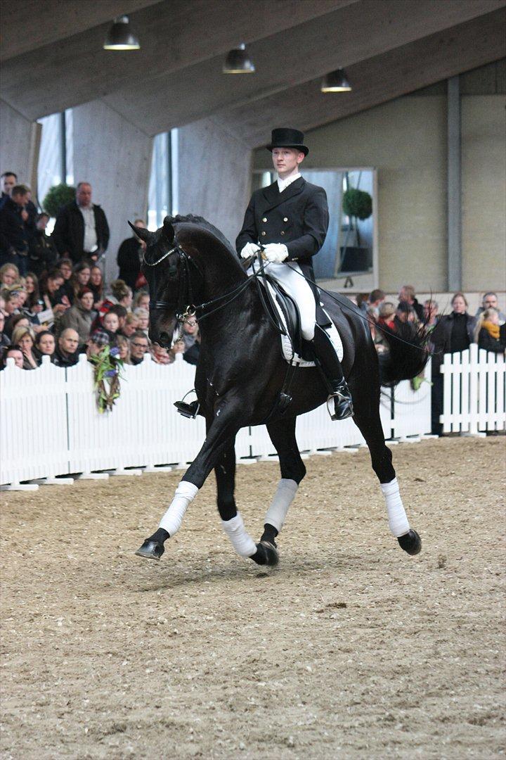 Åbent hus - Blue Hors - 2012 - Blue Hors Hotline billede 63